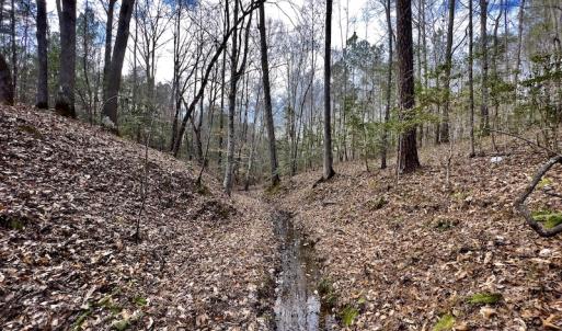 Photo #39 of SOLD property in Off Baltimore Church Road , Warrenton, NC 72.5 acres