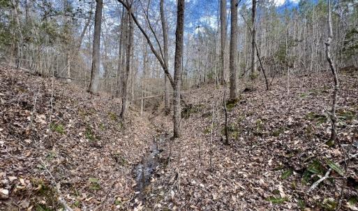 Photo #41 of SOLD property in Off Baltimore Church Road , Warrenton, NC 72.5 acres