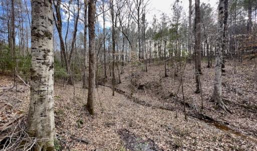 Photo #42 of SOLD property in Off Baltimore Church Road , Warrenton, NC 72.5 acres