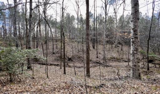 Photo #43 of SOLD property in Off Baltimore Church Road , Warrenton, NC 72.5 acres