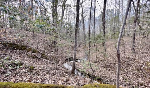 Photo #44 of SOLD property in Off Baltimore Church Road , Warrenton, NC 72.5 acres