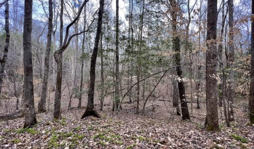 Photo #45 of SOLD property in Off Baltimore Church Road , Warrenton, NC 72.5 acres