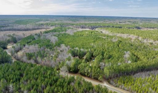 Photo #4 of SOLD property in Off Baltimore Church Road , Warrenton, NC 72.5 acres