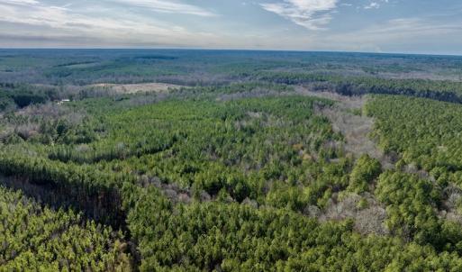 Photo #6 of SOLD property in Off Baltimore Church Road , Warrenton, NC 72.5 acres