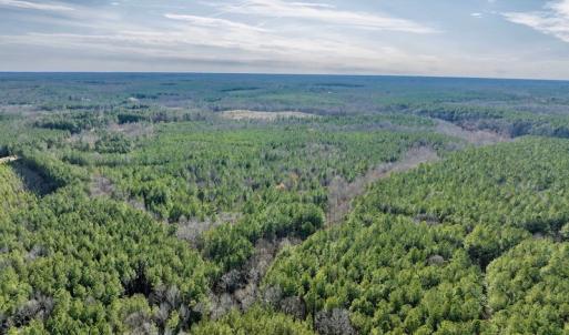 Photo #7 of SOLD property in Off Baltimore Church Road , Warrenton, NC 72.5 acres