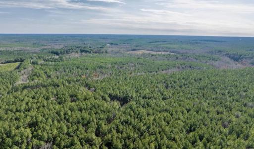 Photo #8 of SOLD property in Off Baltimore Church Road , Warrenton, NC 72.5 acres