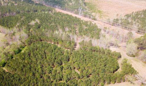 Photo #3 of SOLD property in 2624 Jackson Rd , Suffolk, VA 18.0 acres