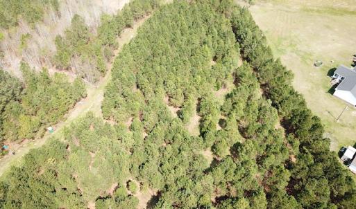 Photo #11 of SOLD property in 2624 Jackson Rd , Suffolk, VA 18.0 acres
