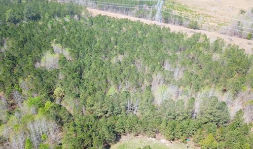 Photo #12 of SOLD property in 2624 Jackson Rd , Suffolk, VA 18.0 acres