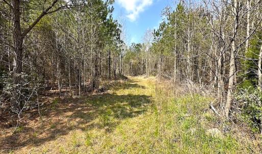 Photo #13 of SOLD property in 2624 Jackson Rd , Suffolk, VA 18.0 acres