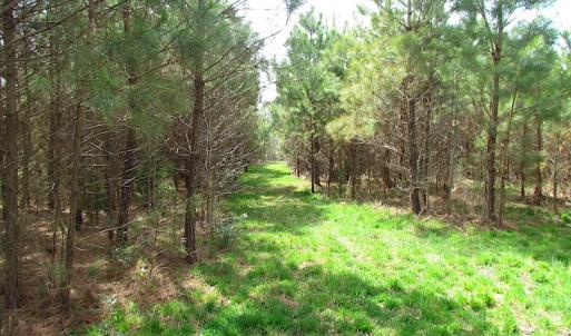 Photo #14 of SOLD property in 2624 Jackson Rd , Suffolk, VA 18.0 acres