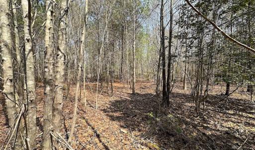Photo #15 of SOLD property in 2624 Jackson Rd , Suffolk, VA 18.0 acres