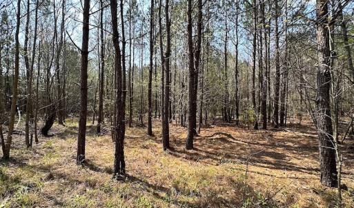 Photo #16 of SOLD property in 2624 Jackson Rd , Suffolk, VA 18.0 acres