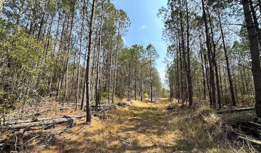 Photo #18 of SOLD property in 2624 Jackson Rd , Suffolk, VA 18.0 acres