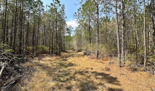 Photo #20 of SOLD property in 2624 Jackson Rd , Suffolk, VA 18.0 acres