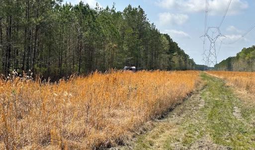 Photo #24 of SOLD property in 2624 Jackson Rd , Suffolk, VA 18.0 acres