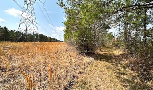 Photo #26 of SOLD property in 2624 Jackson Rd , Suffolk, VA 18.0 acres