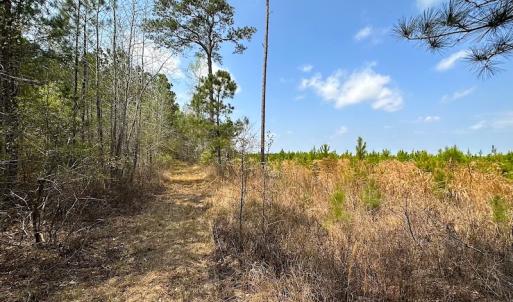 Photo #27 of SOLD property in 2624 Jackson Rd , Suffolk, VA 18.0 acres