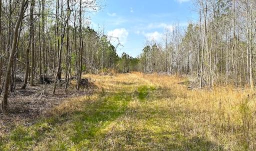 Photo #30 of SOLD property in 2624 Jackson Rd , Suffolk, VA 18.0 acres