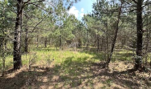 Photo #31 of SOLD property in 2624 Jackson Rd , Suffolk, VA 18.0 acres