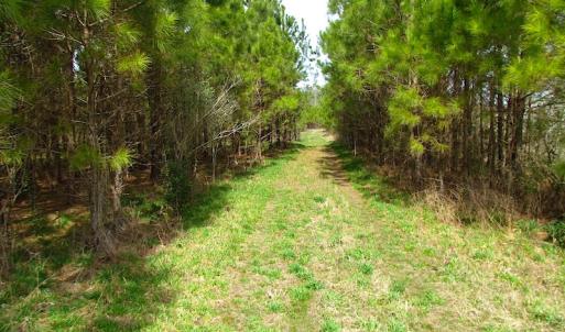 Photo #34 of SOLD property in 2624 Jackson Rd , Suffolk, VA 18.0 acres