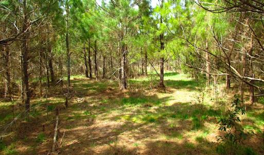 Photo #36 of SOLD property in 2624 Jackson Rd , Suffolk, VA 18.0 acres