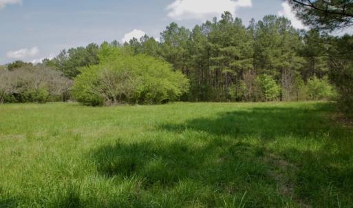 Photo #9 of SOLD property in Off Qualls Farm Rd, Enfield, NC 174.0 acres