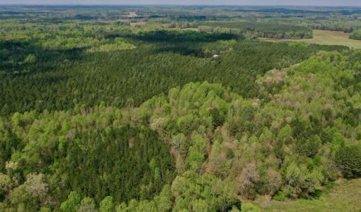 Photo #10 of SOLD property in Off Qualls Farm Rd, Enfield, NC 174.0 acres