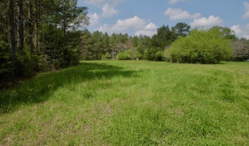Photo #11 of SOLD property in Off Qualls Farm Rd, Enfield, NC 174.0 acres