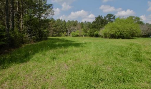 Photo #11 of SOLD property in Off Qualls Farm Rd, Enfield, NC 174.0 acres