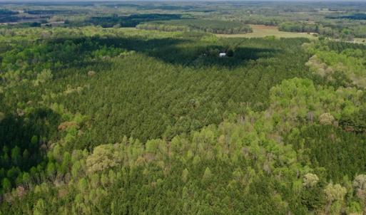 Photo #12 of SOLD property in Off Qualls Farm Rd, Enfield, NC 174.0 acres