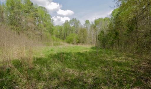 Photo #13 of SOLD property in Off Qualls Farm Rd, Enfield, NC 174.0 acres