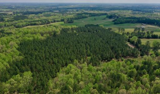 Photo #16 of SOLD property in Off Qualls Farm Rd, Enfield, NC 174.0 acres