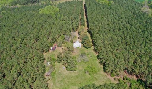 Photo #2 of SOLD property in Off Qualls Farm Rd, Enfield, NC 174.0 acres