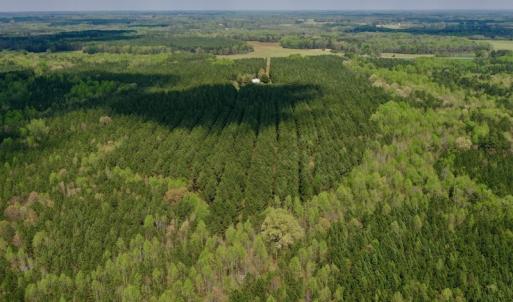 Photo #18 of SOLD property in Off Qualls Farm Rd, Enfield, NC 174.0 acres