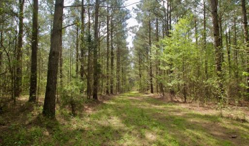 Photo #19 of SOLD property in Off Qualls Farm Rd, Enfield, NC 174.0 acres