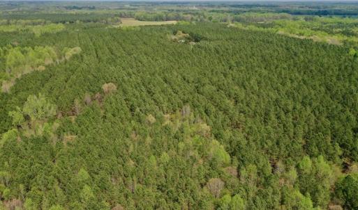 Photo #20 of SOLD property in Off Qualls Farm Rd, Enfield, NC 174.0 acres