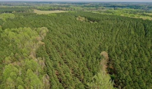 Photo #22 of SOLD property in Off Qualls Farm Rd, Enfield, NC 174.0 acres