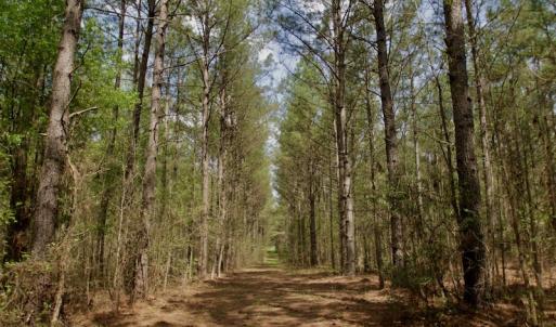 Photo #23 of SOLD property in Off Qualls Farm Rd, Enfield, NC 174.0 acres