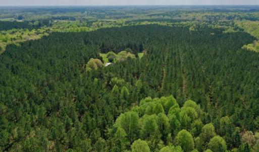Photo #24 of SOLD property in Off Qualls Farm Rd, Enfield, NC 174.0 acres