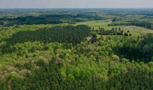 Photo #26 of SOLD property in Off Qualls Farm Rd, Enfield, NC 174.0 acres