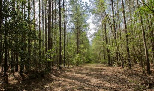 Photo #27 of SOLD property in Off Qualls Farm Rd, Enfield, NC 174.0 acres
