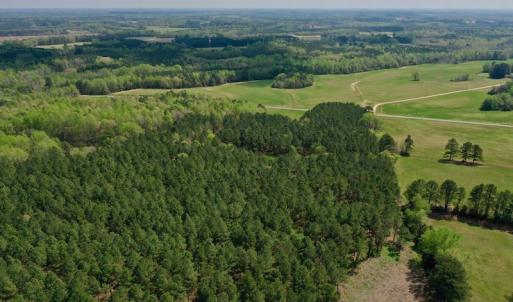 Photo #28 of SOLD property in Off Qualls Farm Rd, Enfield, NC 174.0 acres