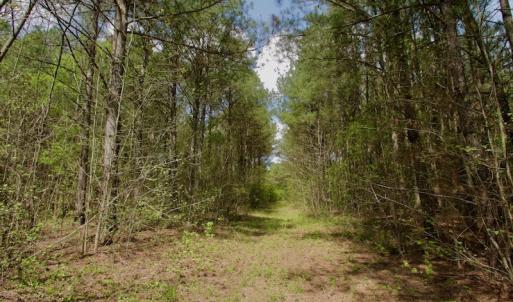Photo #29 of SOLD property in Off Qualls Farm Rd, Enfield, NC 174.0 acres