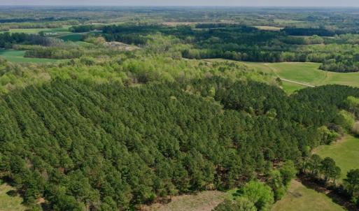 Photo #30 of SOLD property in Off Qualls Farm Rd, Enfield, NC 174.0 acres
