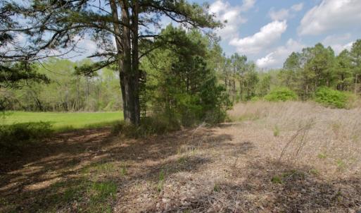 Photo #31 of SOLD property in Off Qualls Farm Rd, Enfield, NC 174.0 acres