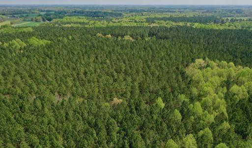 Photo #32 of SOLD property in Off Qualls Farm Rd, Enfield, NC 174.0 acres