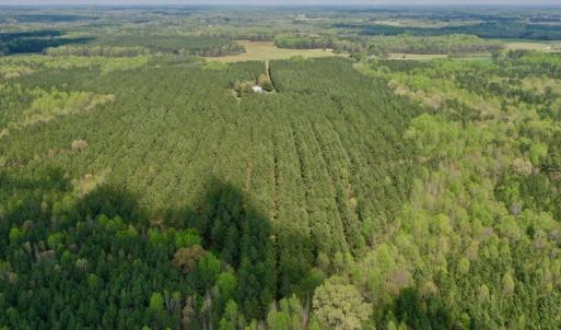 Photo #4 of SOLD property in Off Qualls Farm Rd, Enfield, NC 174.0 acres