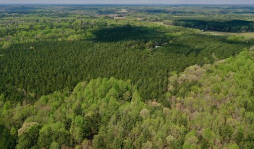 Photo #34 of SOLD property in Off Qualls Farm Rd, Enfield, NC 174.0 acres