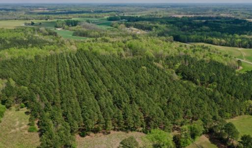 Photo #36 of SOLD property in Off Qualls Farm Rd, Enfield, NC 174.0 acres